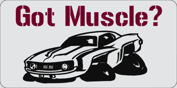 Picture of Sports & Hobbies 39175761