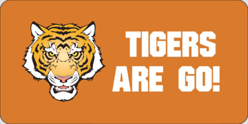 Picture of Sports & Hobbies 39175969