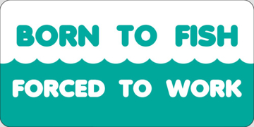 Picture of Hunting and Fishing 18178850