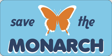 Picture of Butterflies 17355833