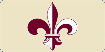 Picture of Fleur de Lis 17198391