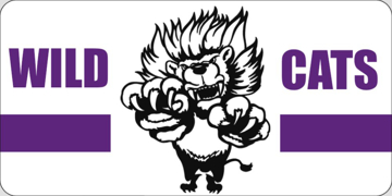 Picture of Mascots 17234939