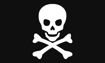 Picture of Novelty Flags 879538562