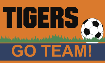 Picture of Sports Flags 879515404