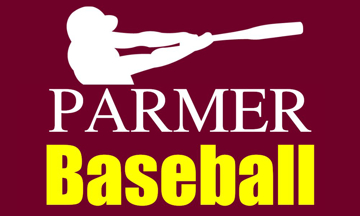 Picture of Sports Flags 877441455