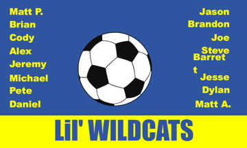 Picture of Sports Flags 879431714