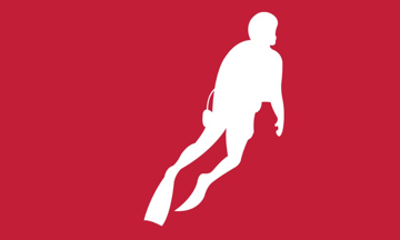 Picture of Sports Flags 875610732