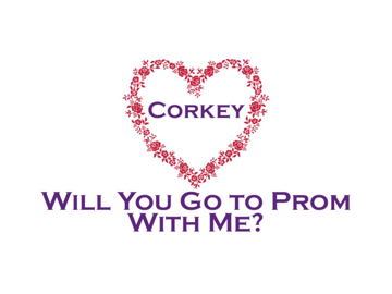 Picture of Featured Magnets 36061003