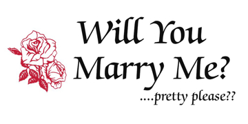 Picture of Wedding 15849471