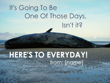 Picture of Just Because 7543239