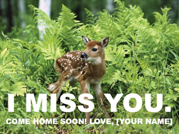 Picture of Miss You 7496118