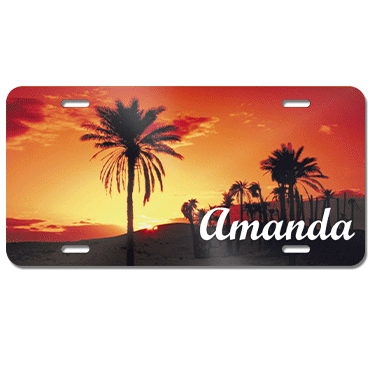 Picture for category License Plates