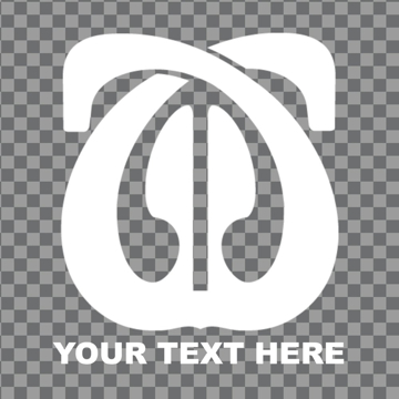 Picture of Tribal Clear Decals 12587142