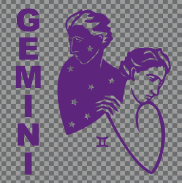 Picture of Zodiac Clear Decals 11965879