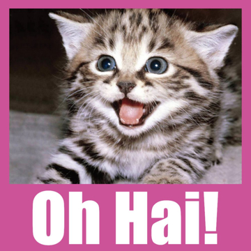 Picture of Animal Window Clings 11926517