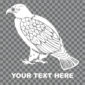 Picture of Patriotic Window Clings 12737144