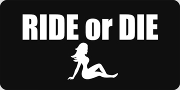 Picture of Novelty 1752103