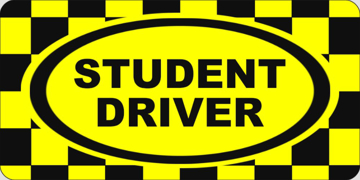 Picture of Novelty 6957717