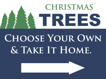 Picture of Winter 6198919