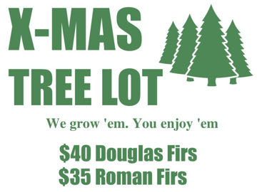 Picture of Winter 3772329