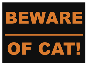 Picture of Funny 7081967