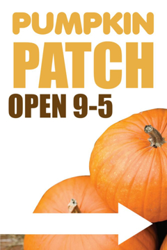 Picture of Retail Bundles 5086247