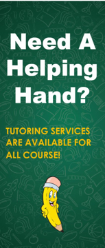 Picture of Education 878733285