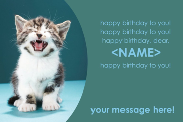 Picture of Featured Decals 11620246