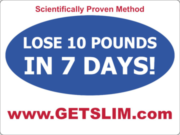 Picture of Bandit Signs 2872