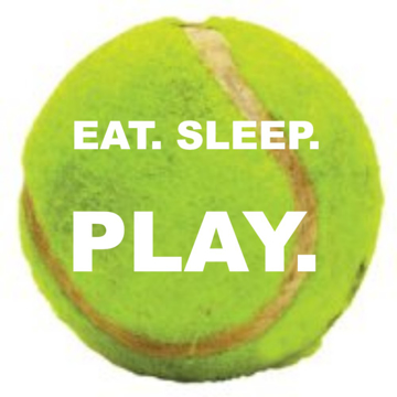 Picture of Sports Decals 11281598