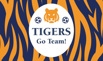 Picture of Sports Flags 7