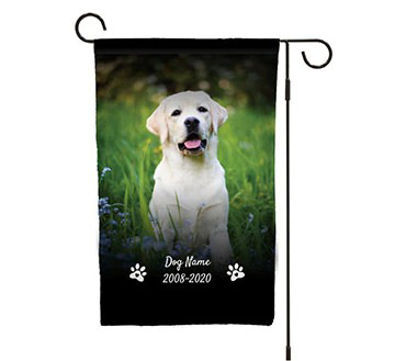 Picture for category Kids & Pets