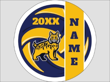 Picture of Circle Volleyball 4