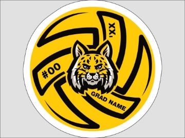 Picture of Circle Volleyball 6