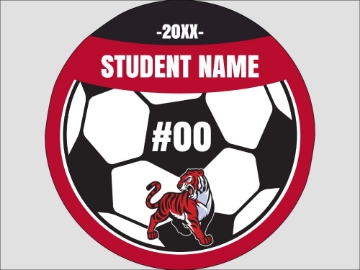 Picture of Circle Soccer 4