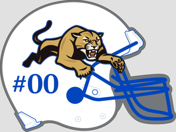 Picture of Helmet Shape Blue/White