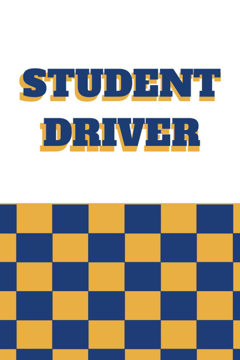 Picture of 18" x 12" Student Driver 6