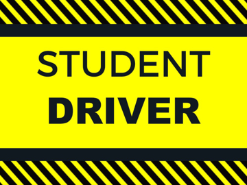 Picture of 18" x 24" Student Driver 1