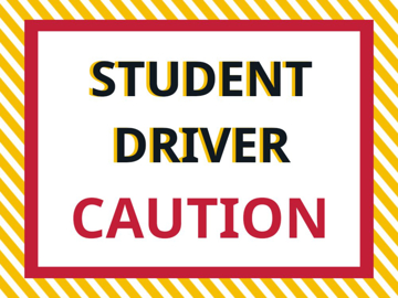 Picture of 18" x 24" Student Driver 4