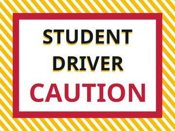 Picture of 9" x 12" Student Driver 4