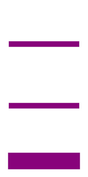 Picture of 24" x 12" Political Campaign 20