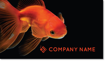 Picture of BC - Animals & Pet Care 2 - Double Sided