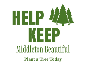 Picture of Political Opinion 34834640