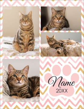 Picture of Magnetic Photos 4 - Vertical