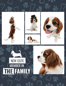 Picture of Magnetic Photos 10 - Vertical