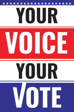 Picture of Political 4