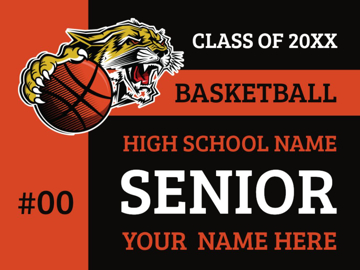 Picture of Basketball 2