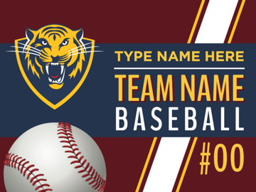 Picture of Baseball 4