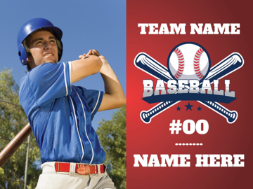 Picture of Baseball 5