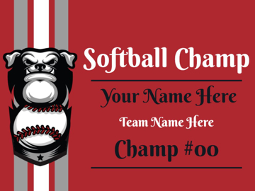 Picture of Softball 1